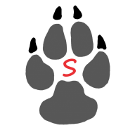 Shiggy