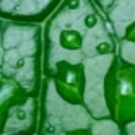BigGreenHall