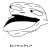 bradman1313