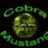 Cobrastang1967